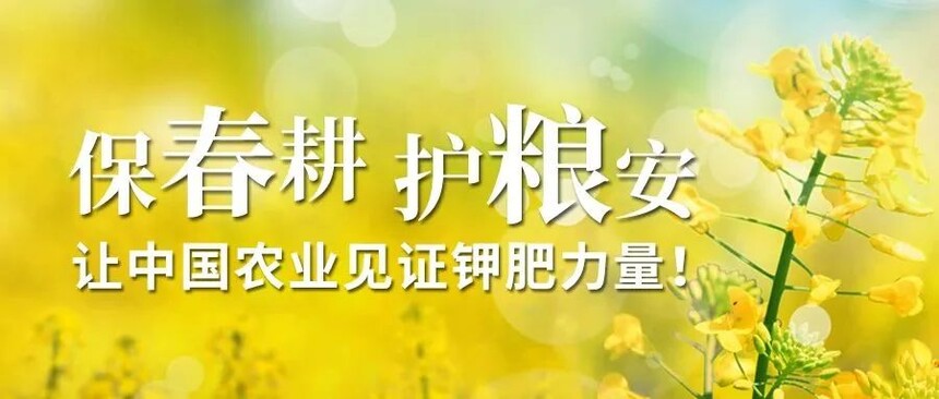 保春耕 护粮安｜国投罗钾全力以赴保障农业生产顺利进行
