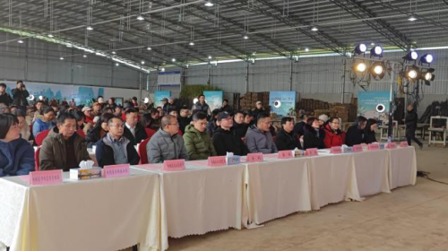 2023年阳朔电商短视频直播大赛，阳朔农产品区域公用品牌“黑皮果蔗”火爆出圈......