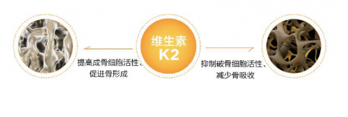 揭秘维生素k2的神奇功效，四烯甲萘醌功不可没
