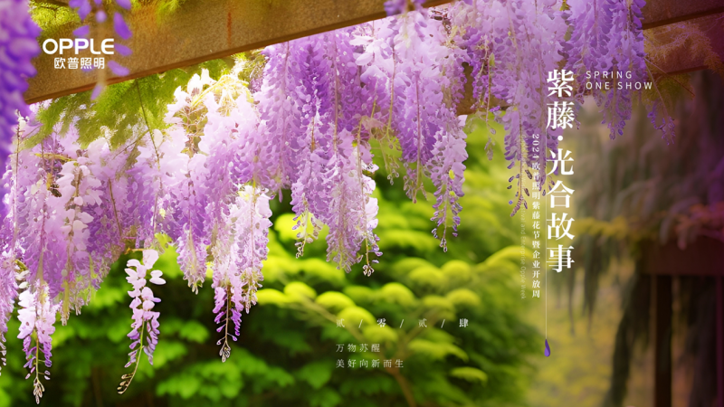 2024欧普照明紫藤花节暨企业开放周：强化esg治理，践行esg理念