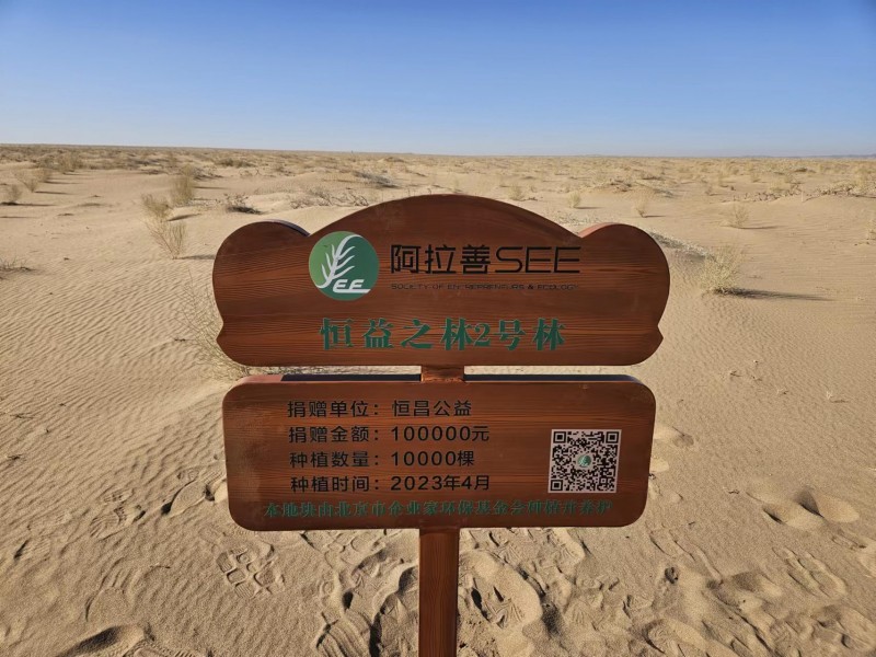 “龙腾致雨 绿泽中华”恒昌公益起笔绘“植”美丽中国