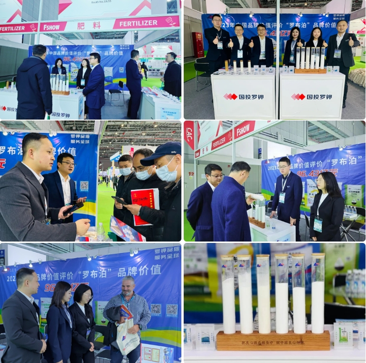 蓄力产业升级 共赢发展机遇 | 国投罗钾受邀参加第24届中国国际农用化学品及植保展览会