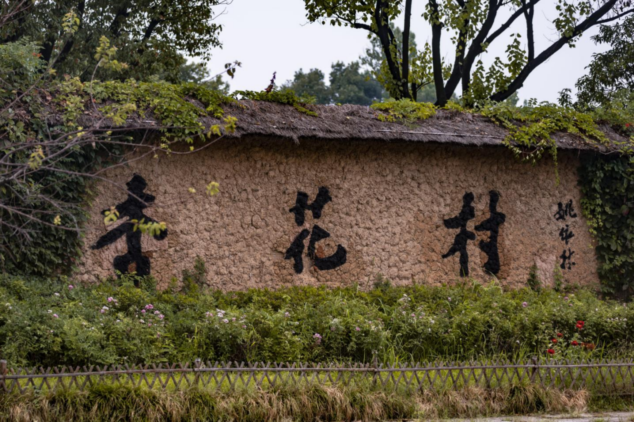 春游江淮丨凭借池黄高铁开通的东风， 池州旅游驶入高质量发展快车道