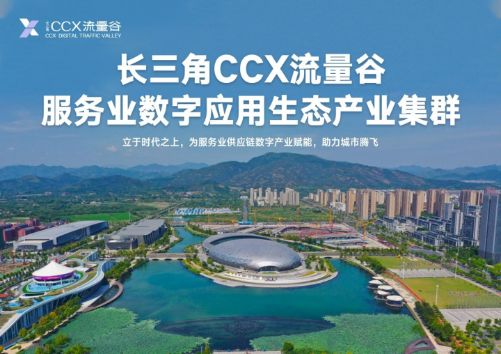 长三角ccx·流量谷推介会圆满落幕，开启服务业数字化应用新篇章