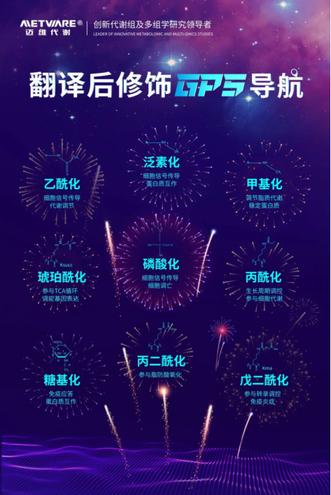 1709104457573739.png