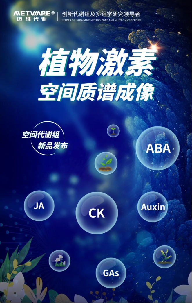 1710482808536391.png